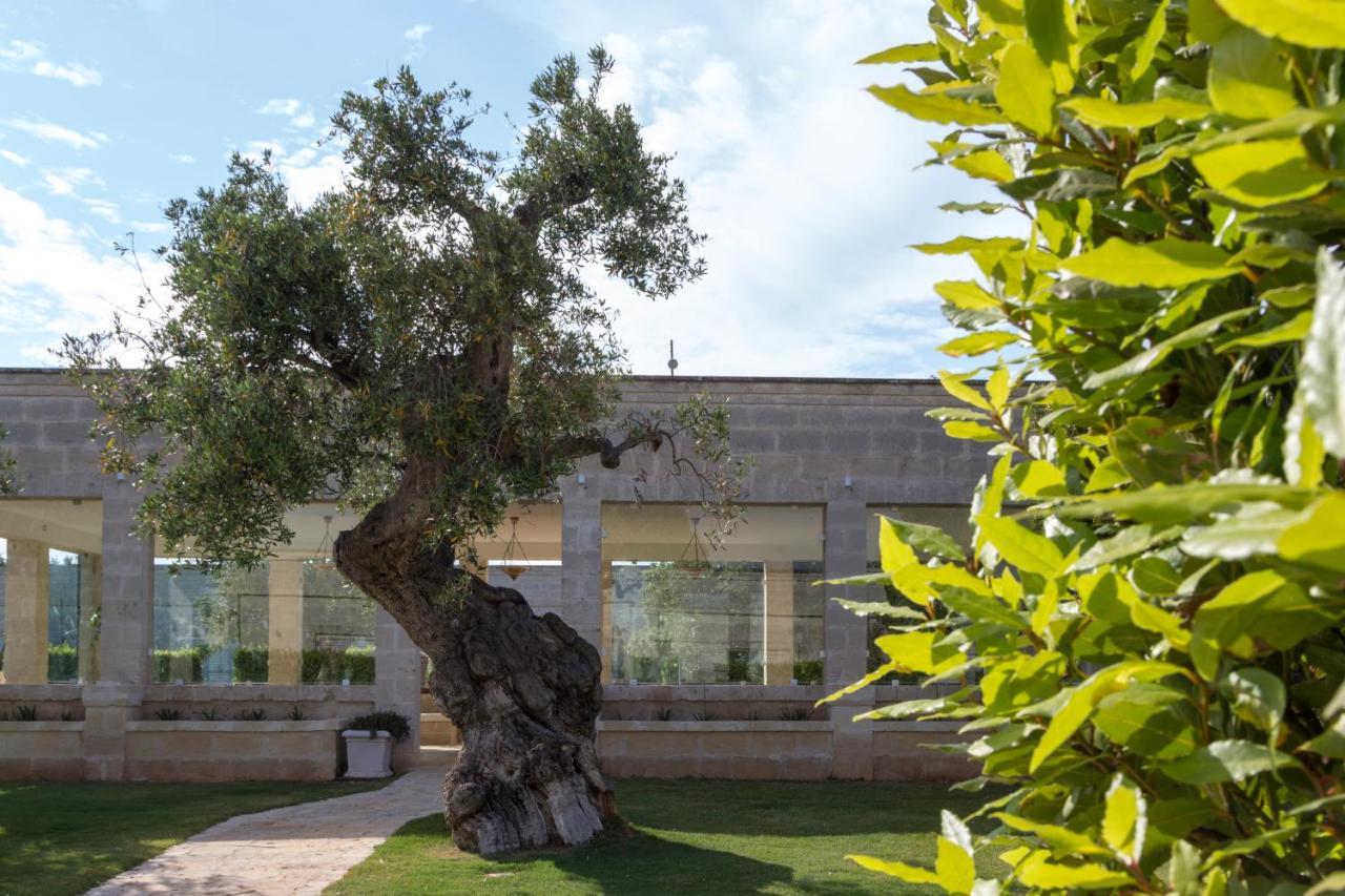 Masseria Torre Del Diamante Torre Canne Eksteriør bilde