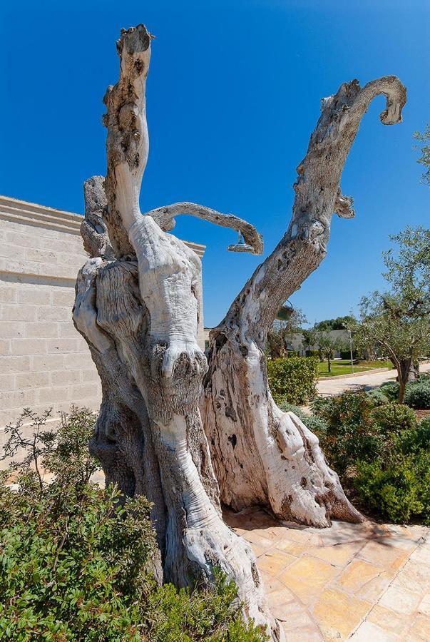 Masseria Torre Del Diamante Torre Canne Eksteriør bilde